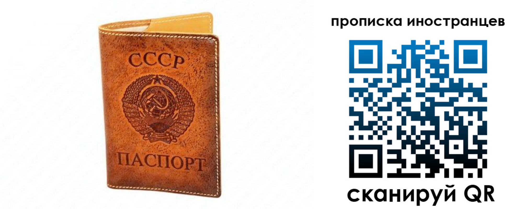 прописка для школы в Ессентуках